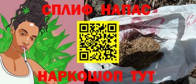 стаф Бузулук