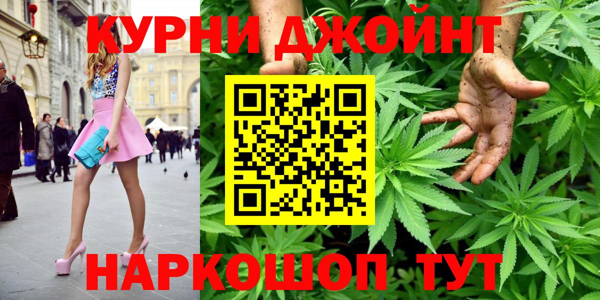 Бошки Шишки план  Вход с VPN  Прохладный  Конопля сатива  Канабис тримм 